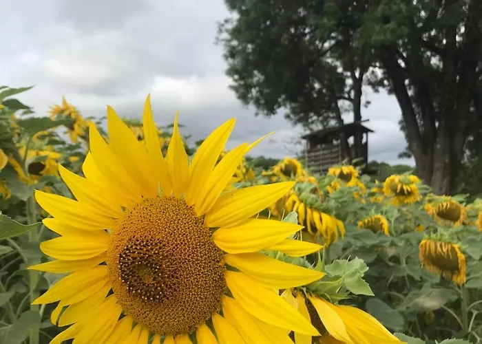 L'ecolodge Des Champs *
