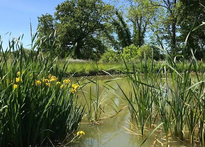 L'ecolodge Des Champs Campo de lujo Prailles